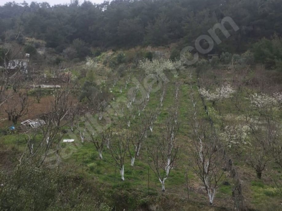 Çınar Gayrimenkul